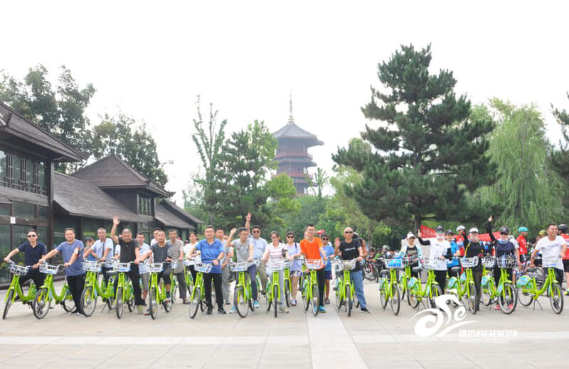 公共自行车运营公司荣获“青年文明号”称号13