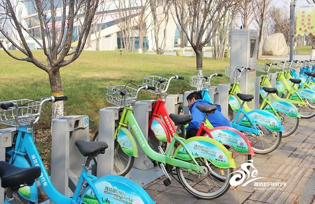 市市政公用事业服务中心：公共自行车扎实做好冬季维护保养工作2