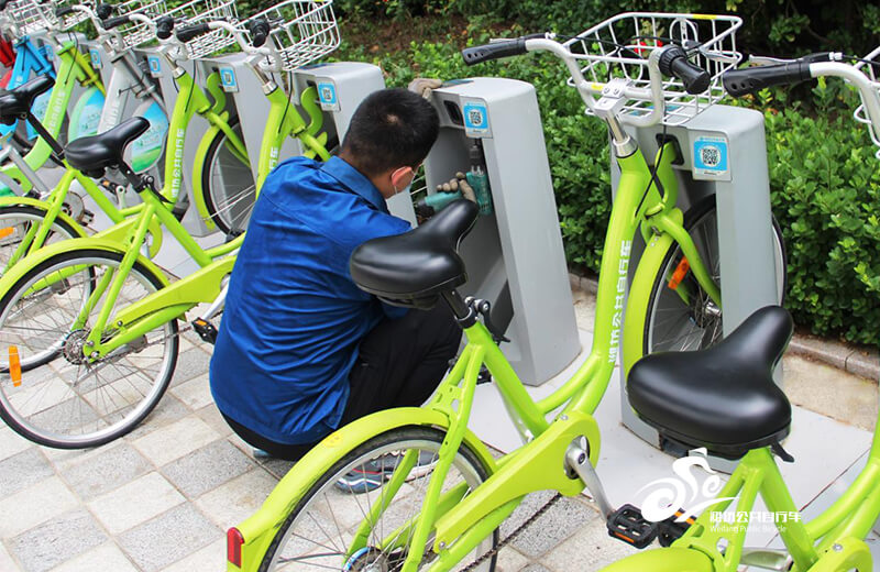 市区公共自行车开展专项维保行动 保障市民骑行需求2